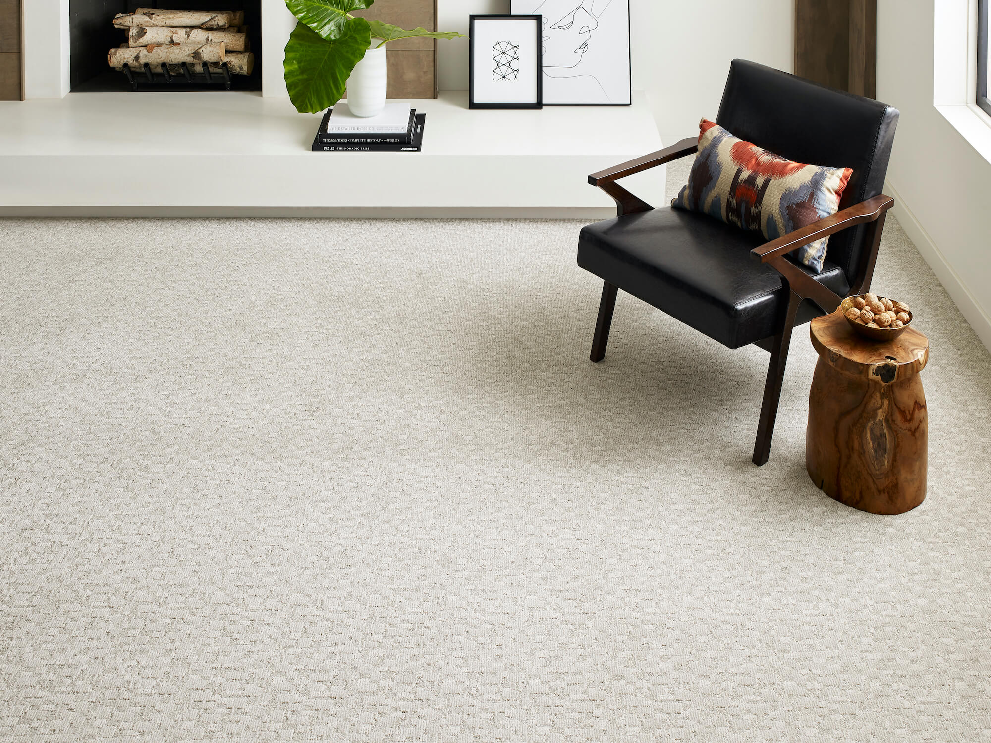 The Floor Store carpet from Anderson Tuffix Paw Tay Bennington